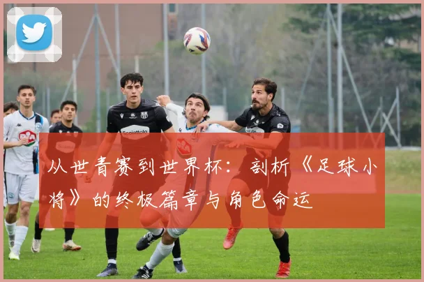 从世青赛到世界杯：剖析《足球小将》的终极篇章与角色命运