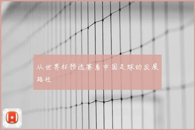 从世界杯预选赛看中国足球的发展路径