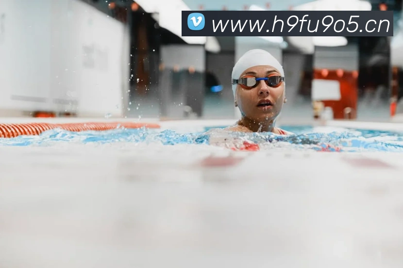 kaiyun中国平台生态图